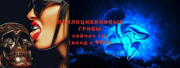 таблы Ельня