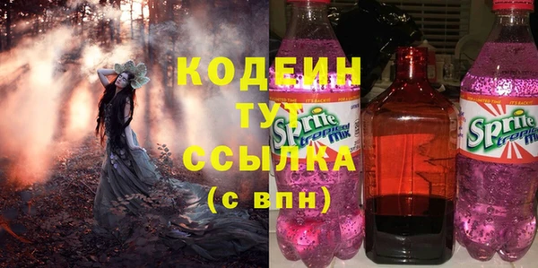 таблы Ельня
